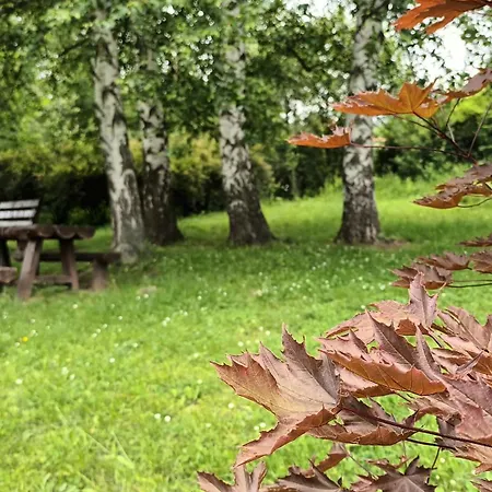 Aleksandra 2 11 Appartement